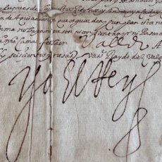 Manuscritos antiguos: MÉJICO. CARTA PRIVILEGIO Y EJECUTORIA DE NOBLEZA, 1603. FAMILIA ZAMBRANO