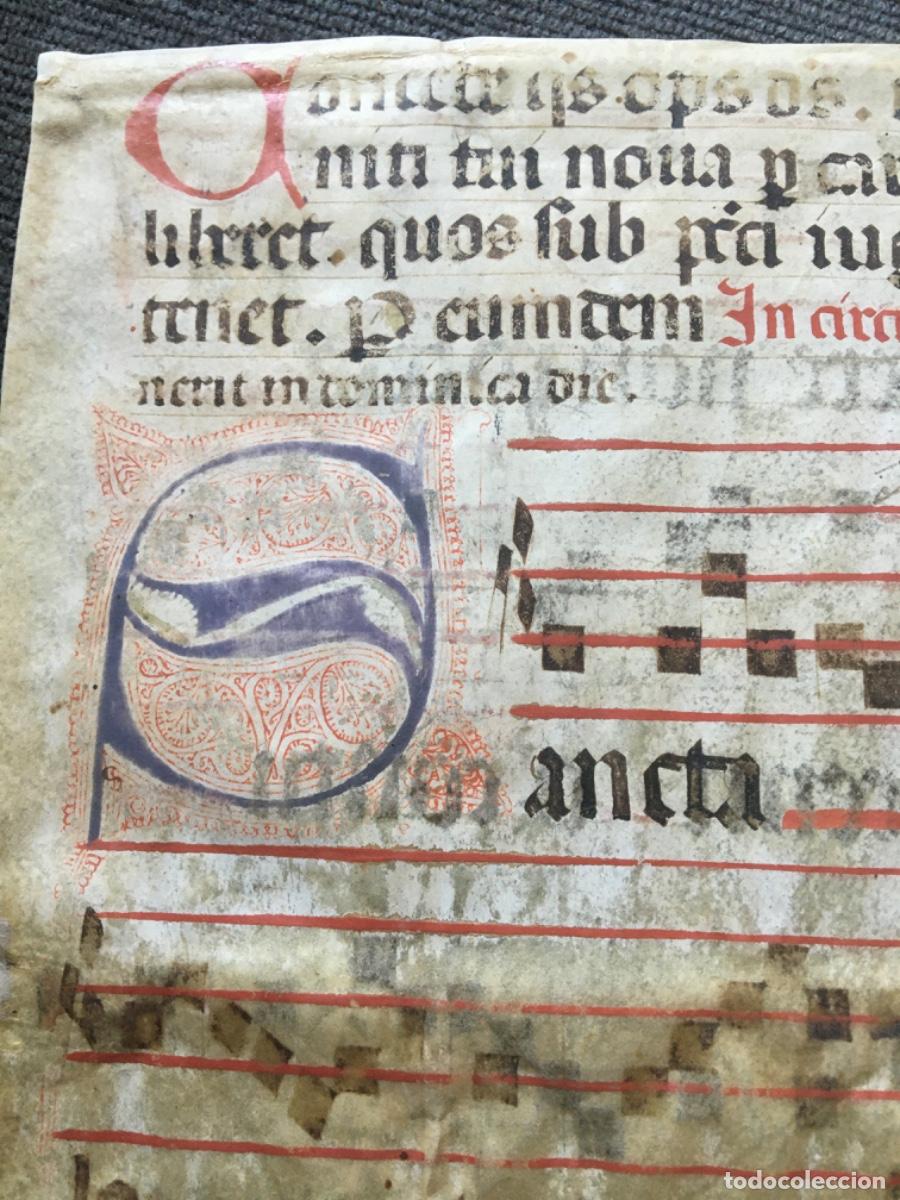 Manuscritos antiguos: Hoja cantoral pergamino miniatura xvi - Foto 1