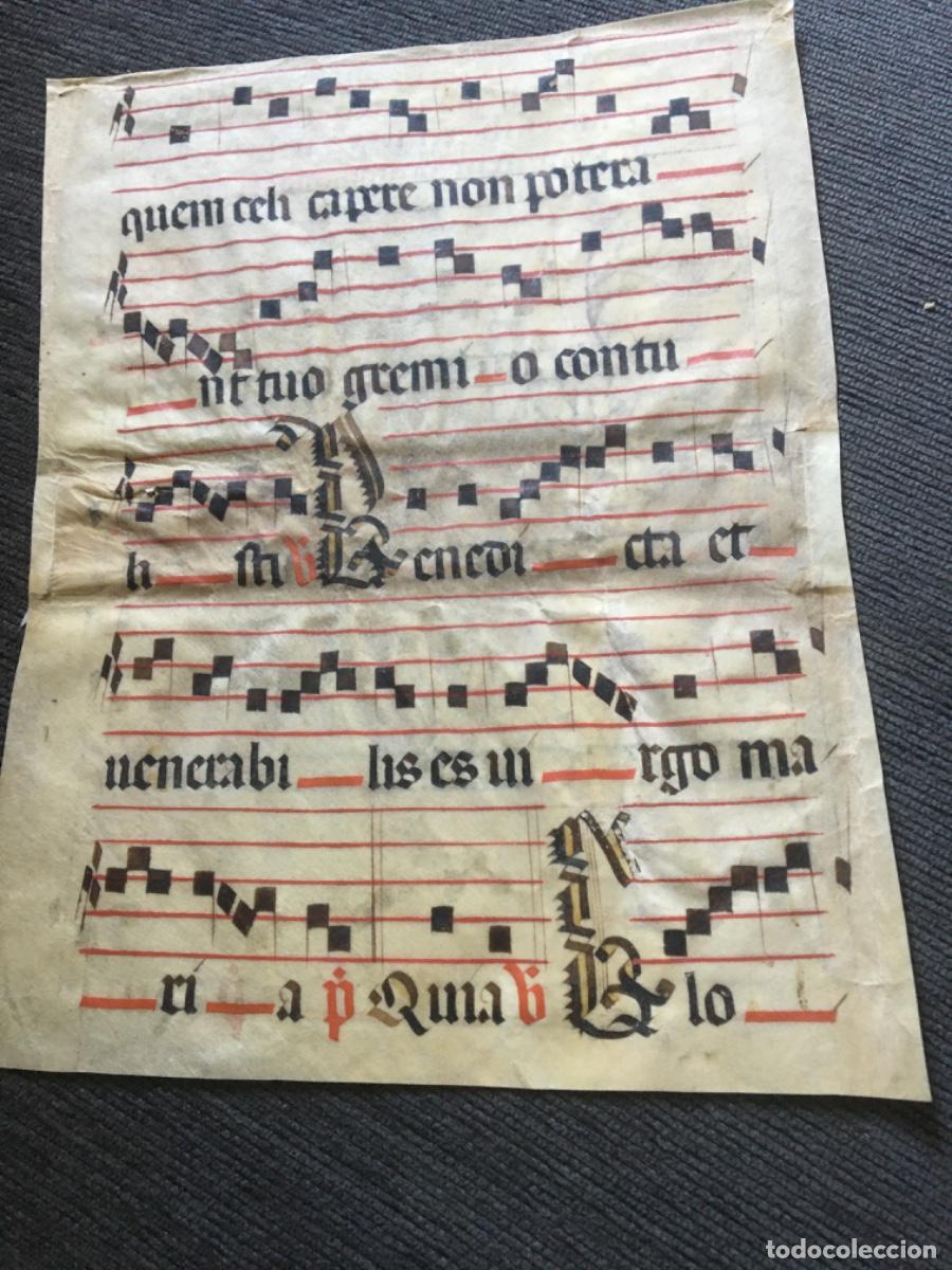 Manuscritos antiguos: Hoja cantoral pergamino miniatura xvi - Foto 2
