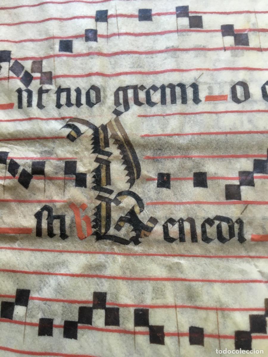 Manuscritos antiguos: Hoja cantoral pergamino miniatura xvi - Foto 3