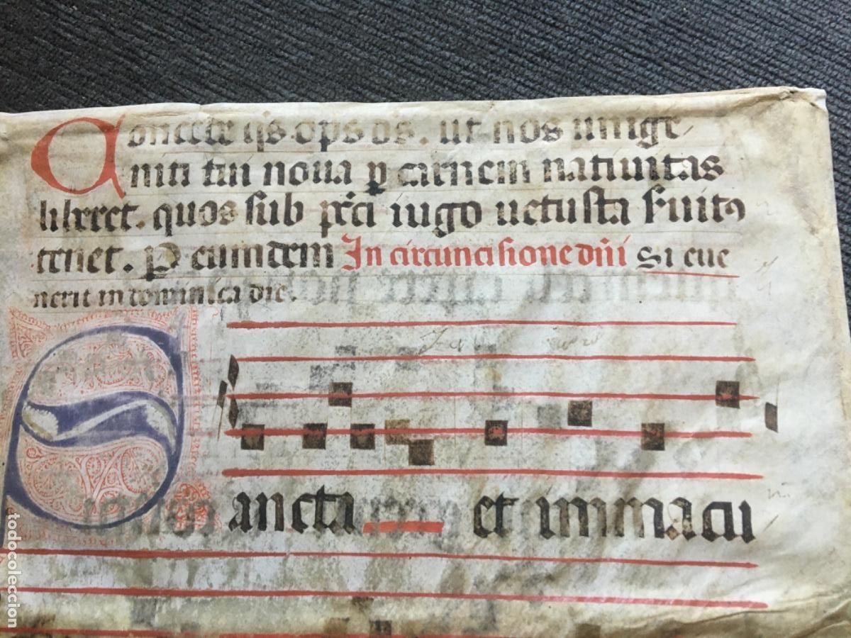 Manuscritos antiguos: Hoja cantoral pergamino miniatura xvi - Foto 4
