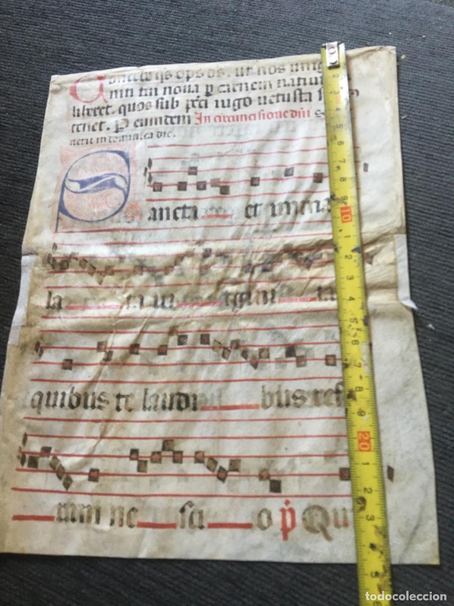 Manuscritos antiguos: Hoja cantoral pergamino miniatura xvi - Foto 5