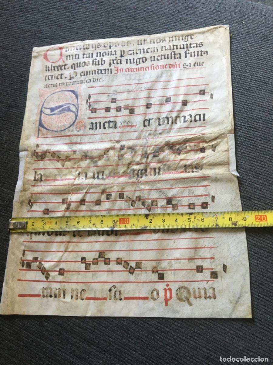 Manuscritos antiguos: Hoja cantoral pergamino miniatura xvi - Foto 6