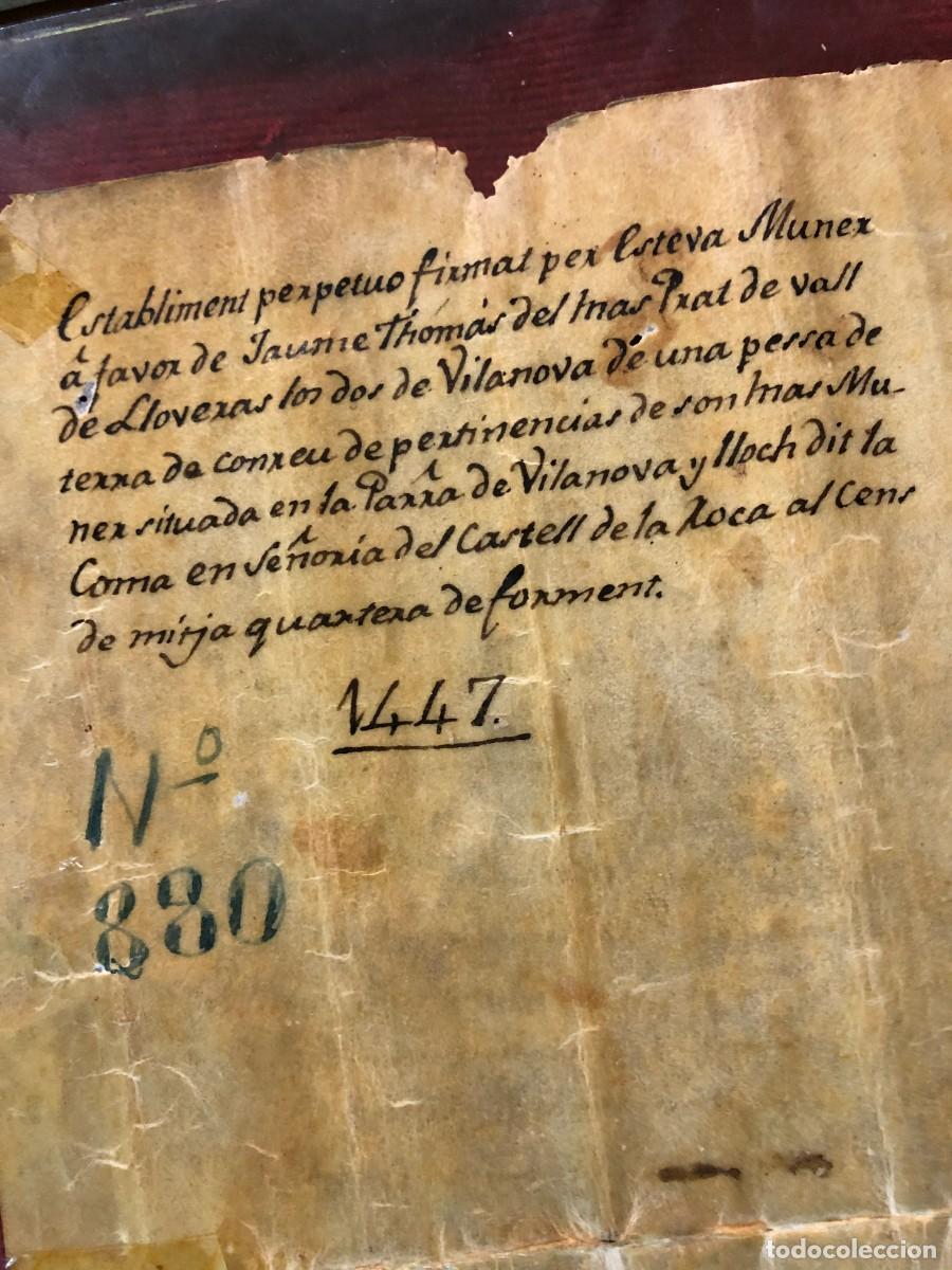 Manuscritos antiguos: documento historico s. xv - Foto 10