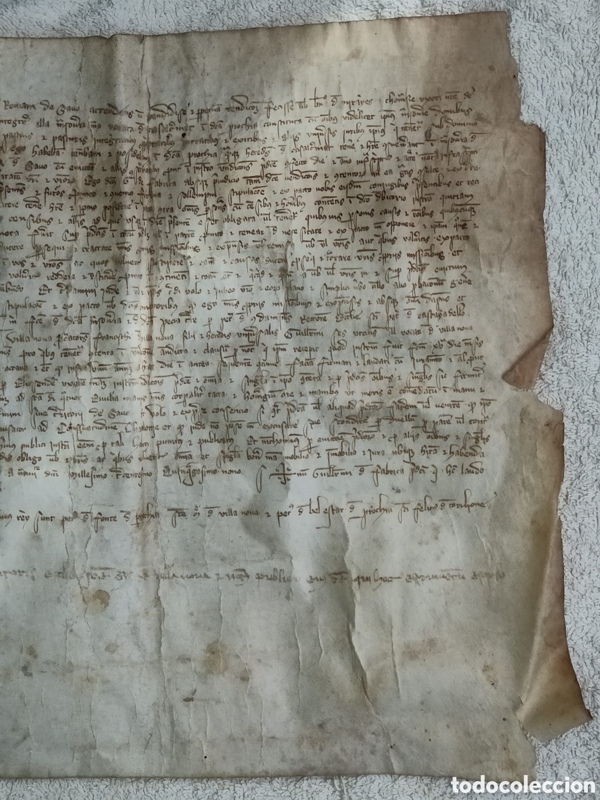 Manuscritos antiguos: Manuscrito en Pergamino a&ntilde;o 1359 - Foto 1