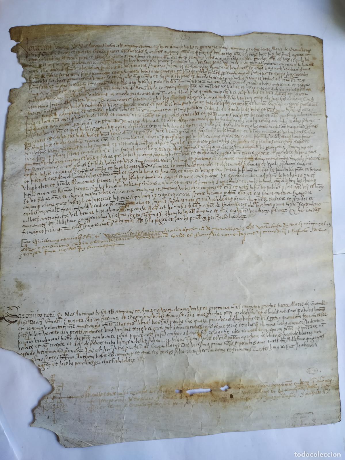 Manuscritos antiguos: Manuscrito pergamino Granollers ( Barcelona)1526 donaciones heredades