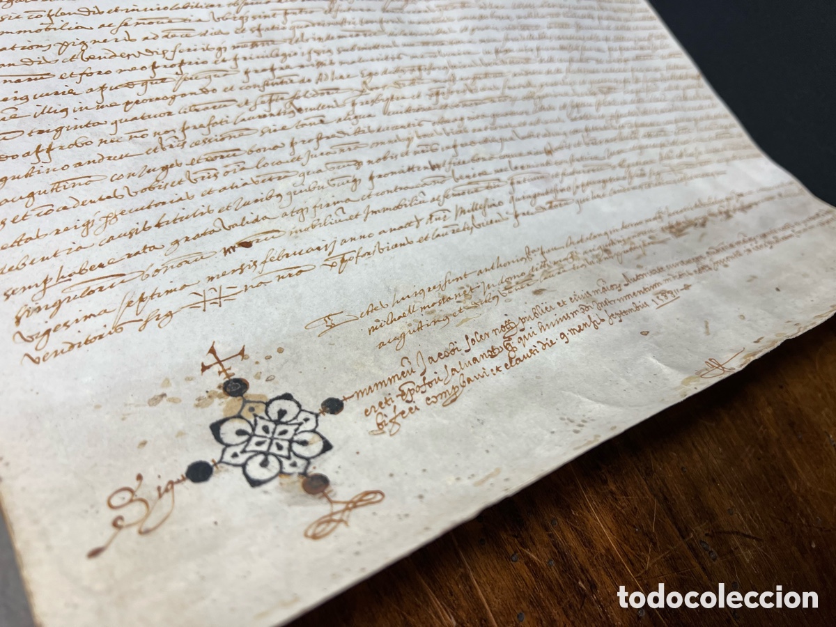 Alte Manuskripte: S.XVI. Documento manuscrito en pergamino.