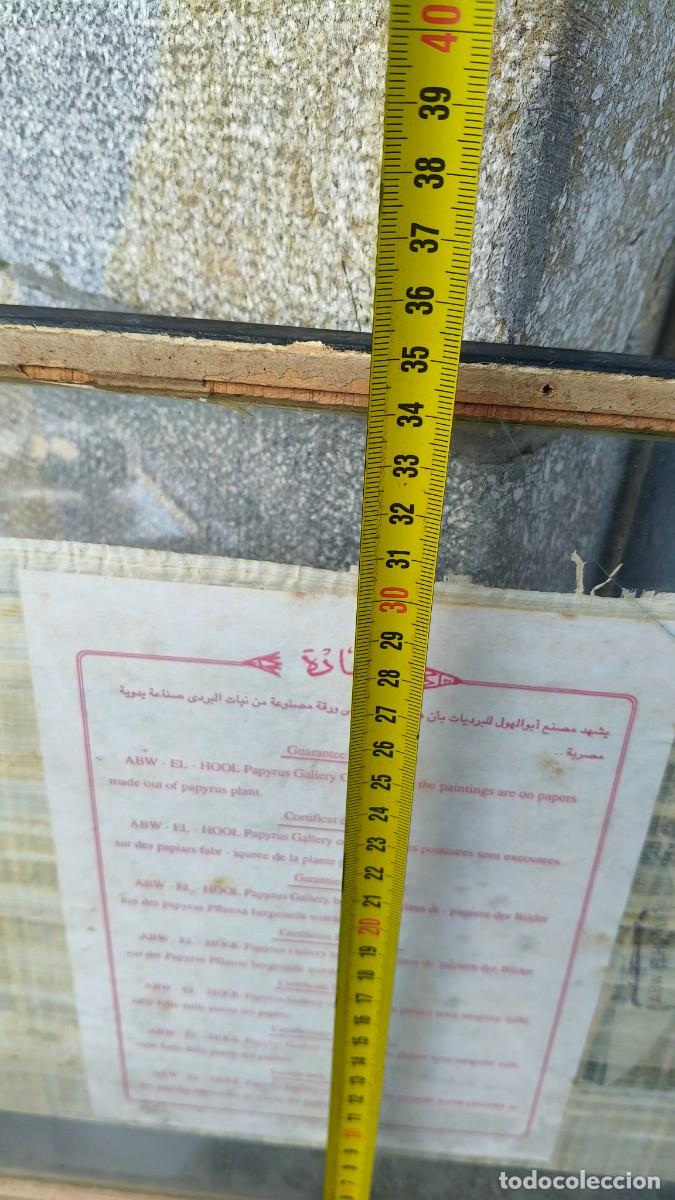 Manuscritos antiguos: Papyrus original avec certificat - Foto 2