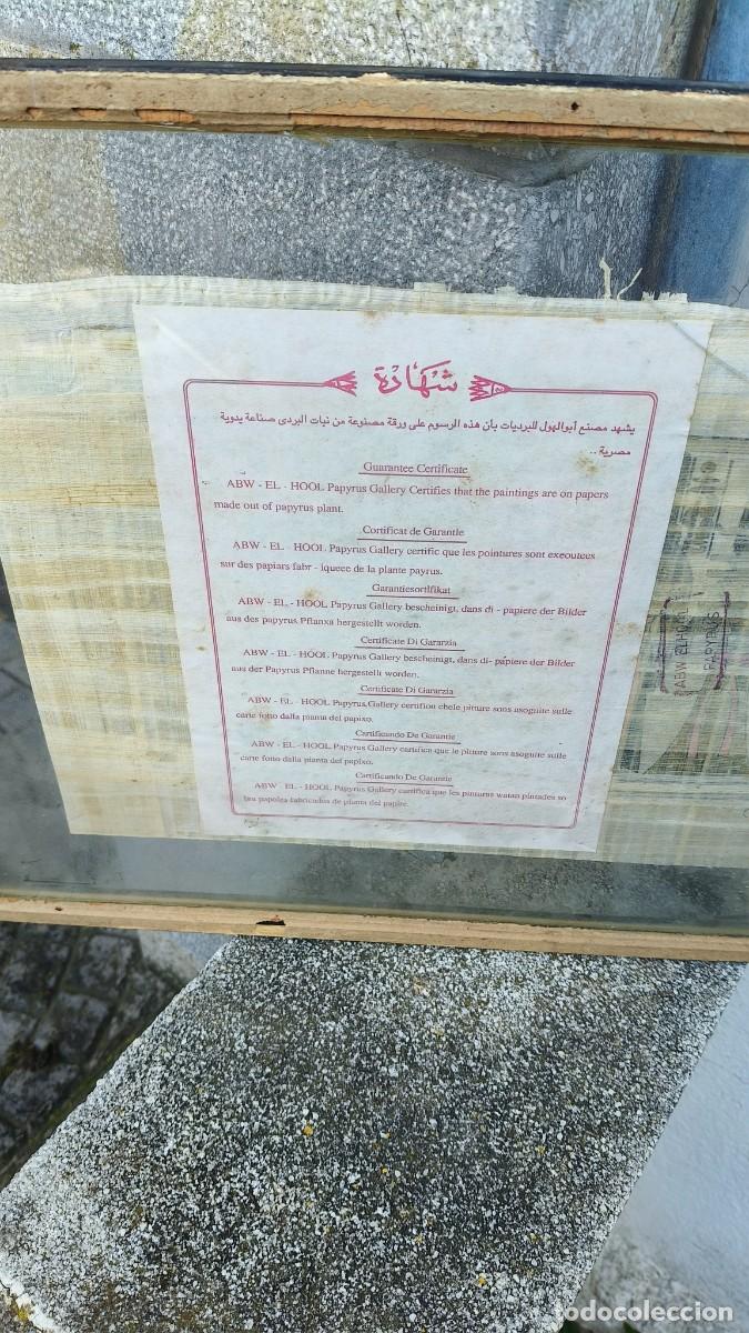 Manuscritos antiguos: Papyrus original avec certificat - Foto 5