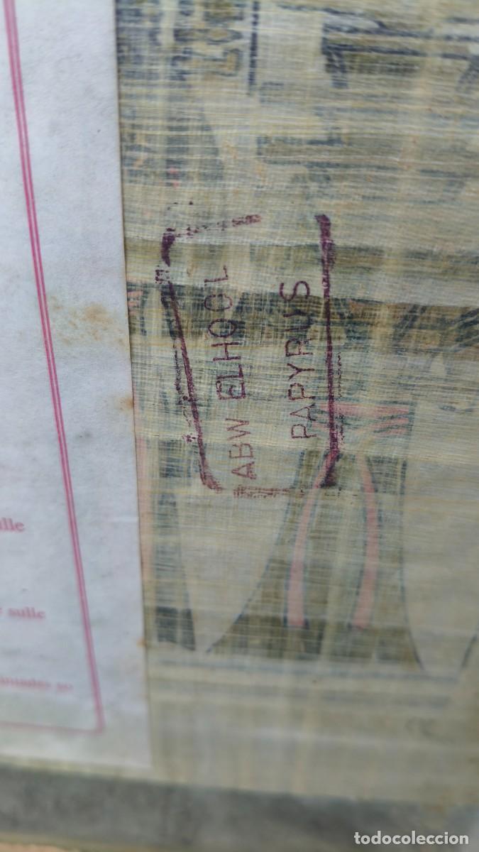 Manuscritos antiguos: Papyrus original avec certificat - Foto 6