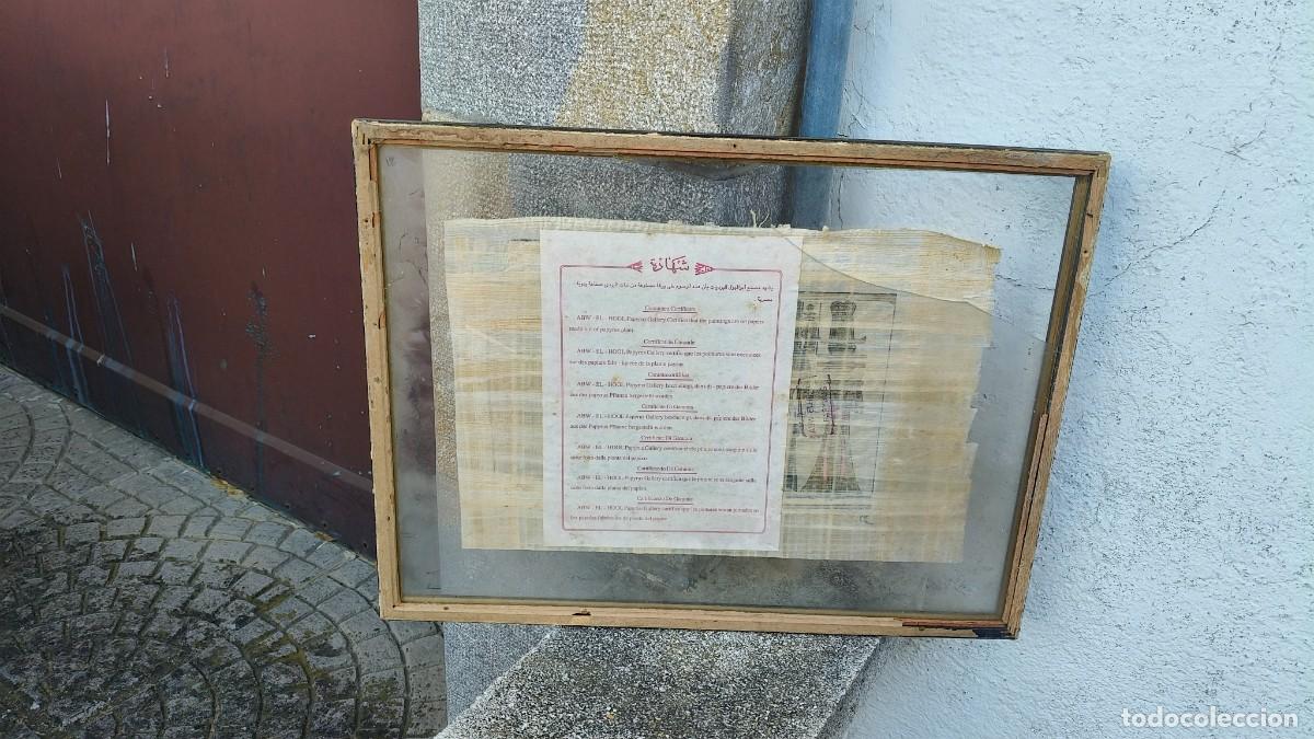 Manuscritos antiguos: Papyrus original avec certificat - Foto 7