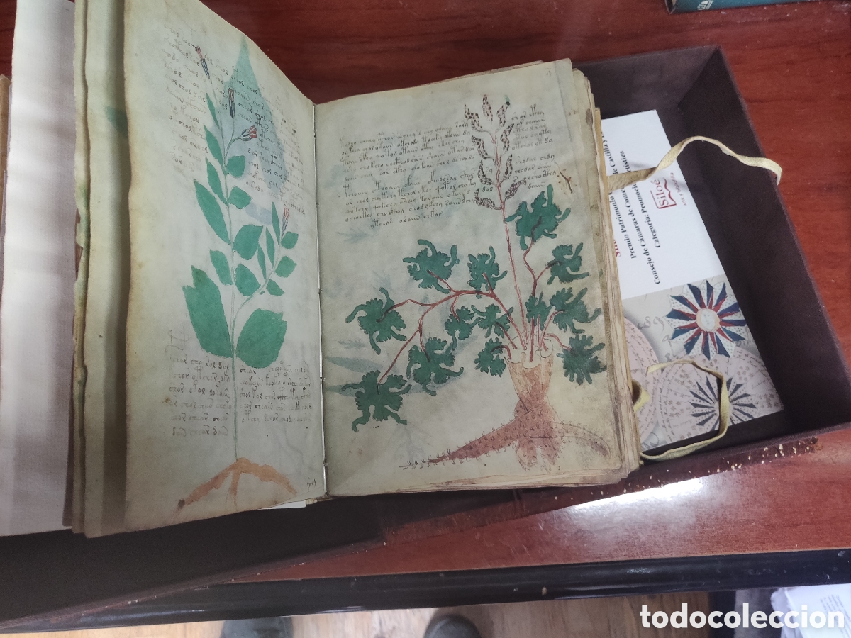 Manuscritos antiguos: MANUSCRITO VOYNICH, S. XV - Foto 5