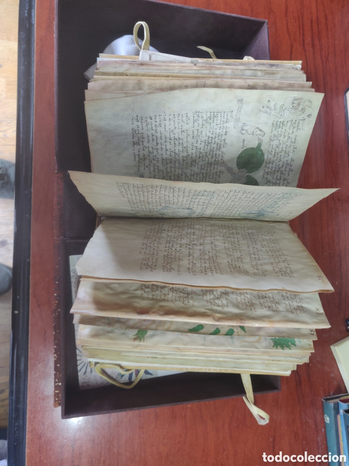 Manuscritos antiguos: MANUSCRITO VOYNICH, S. XV - Foto 8
