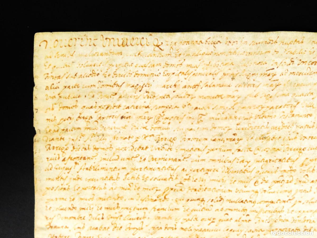 Manuscritos antiguos: Manuscrito pergamino escrito en lat&iacute;n S XVI - Foto 2