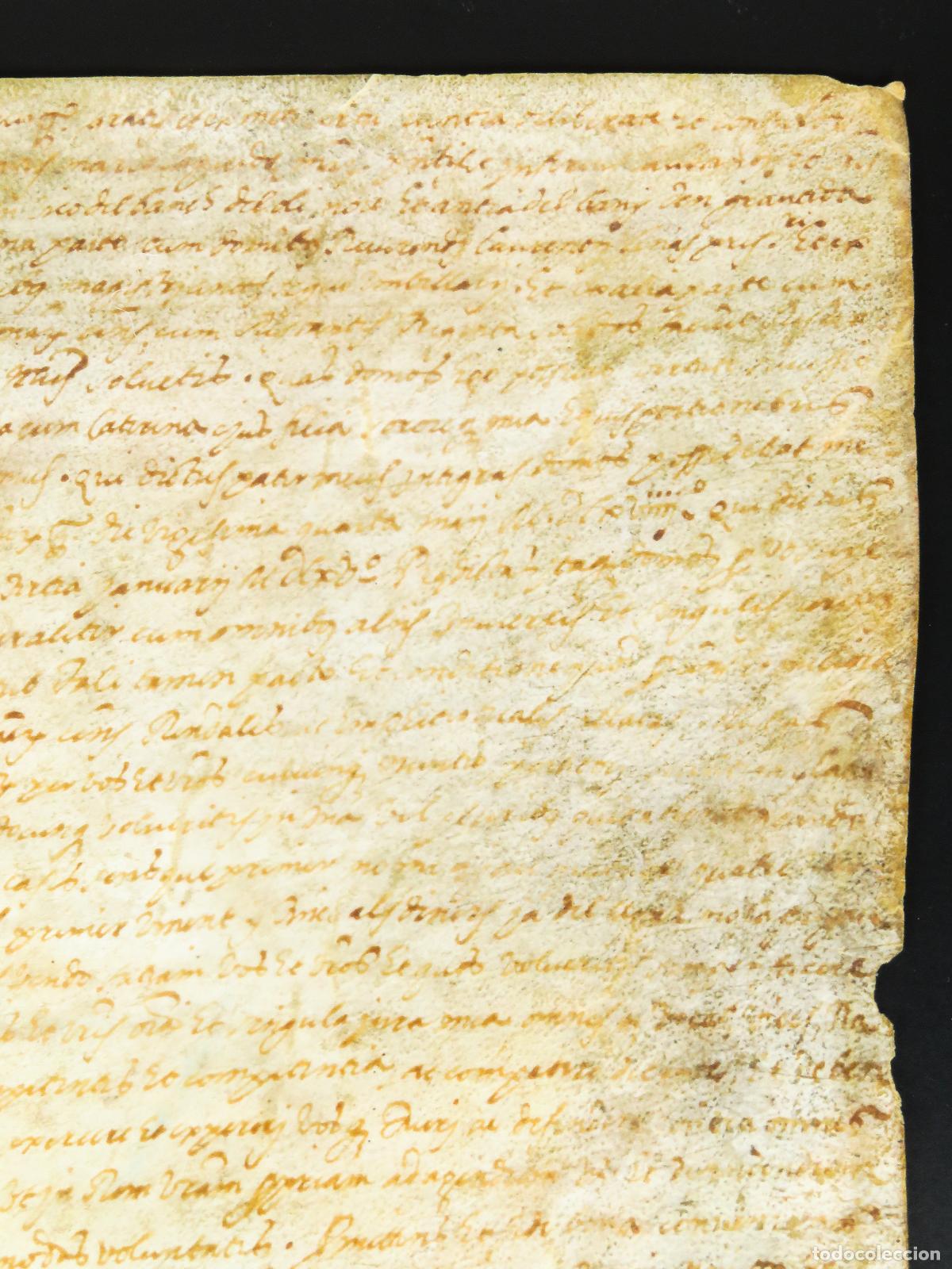 Manuscritos antiguos: Manuscrito pergamino escrito en lat&iacute;n S XVI - Foto 4