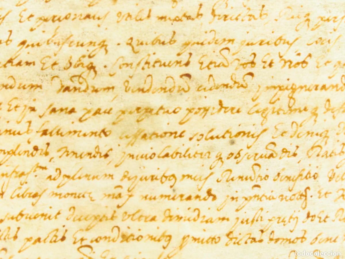 Manuscritos antiguos: Manuscrito pergamino escrito en lat&iacute;n S XVI - Foto 5