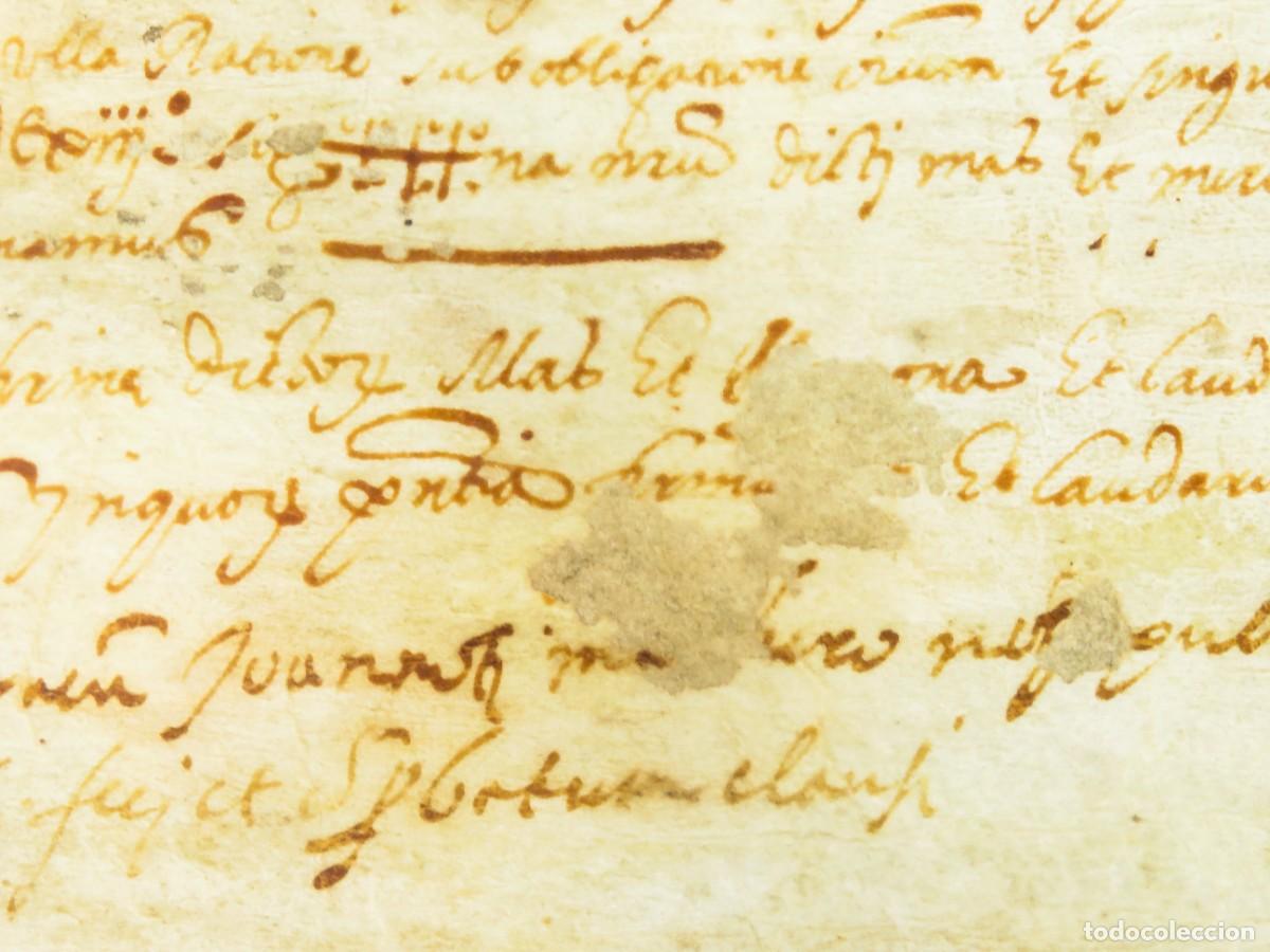 Manuscritos antiguos: Manuscrito pergamino escrito en lat&iacute;n S XVI - Foto 7