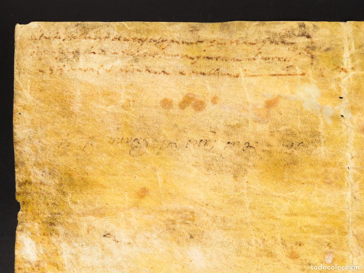 Manuscritos antiguos: Manuscrito pergamino escrito en lat&iacute;n S XVI - Foto 9