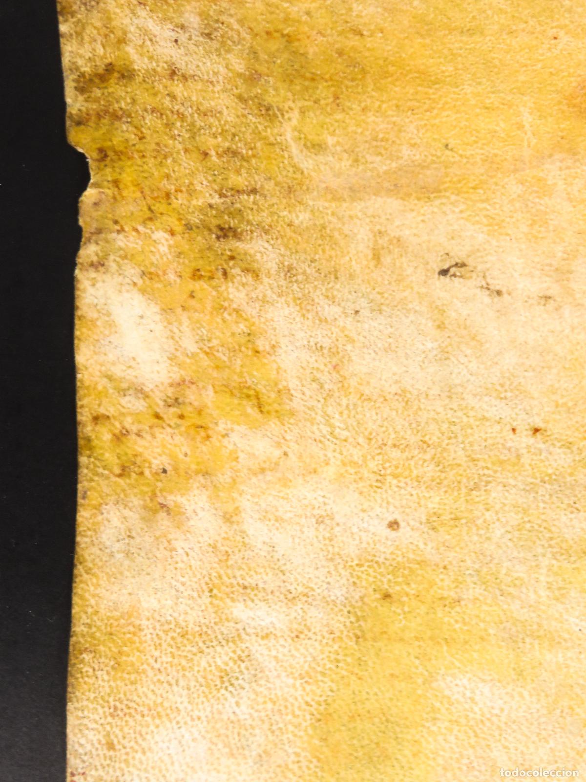 Manuscritos antiguos: Manuscrito pergamino escrito en lat&iacute;n S XVI - Foto 10