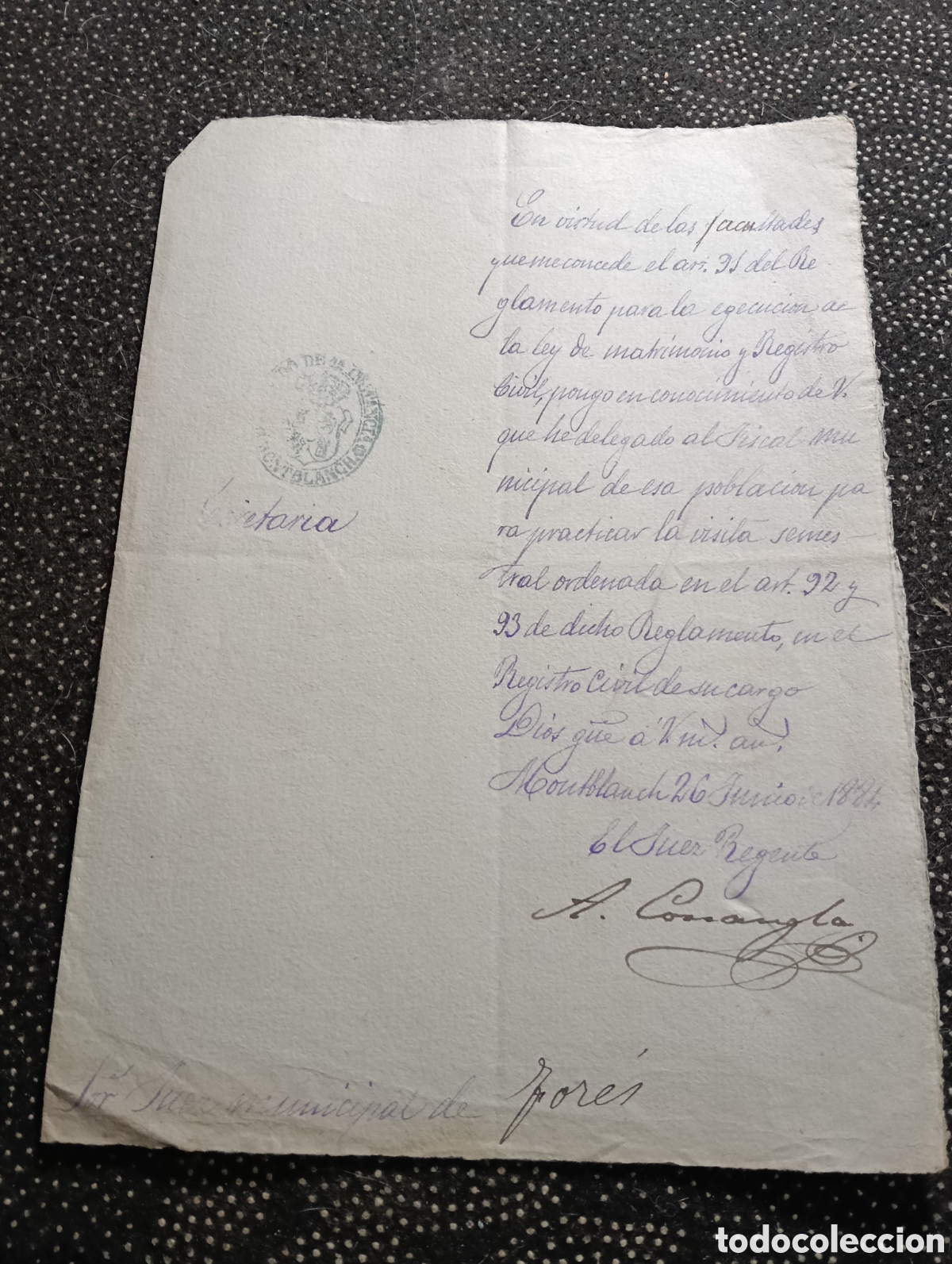 Manuscritos antigos: 1884 El texto menciona la delegaci&oacute;n de facultades para realizar una visita semestral al Registro Ci