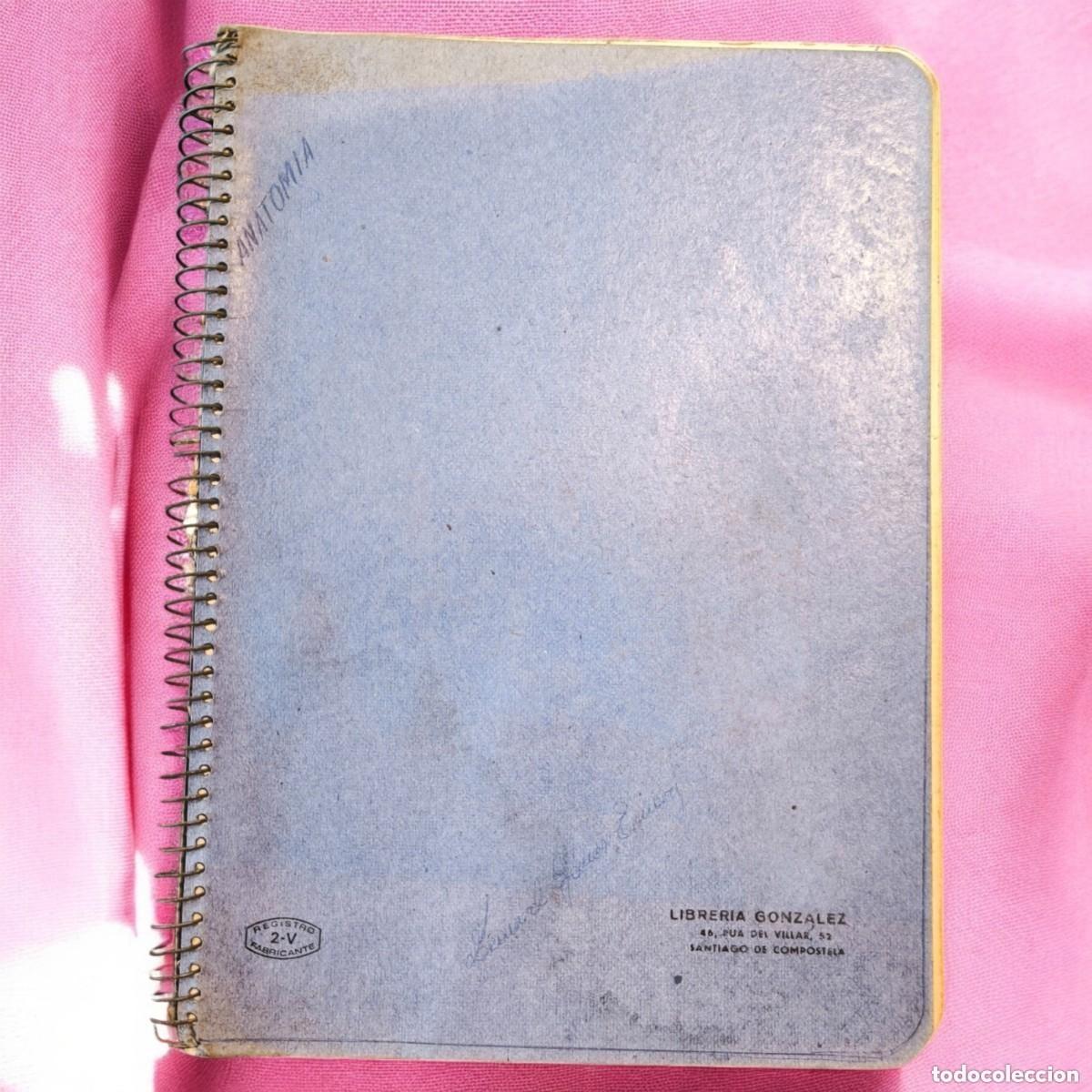 Manuscritos antiguos: Cuaderno Antiguo Escolar Manuscrito &ndash; Apuntes Cient&iacute;ficos Ilustrados a Mano &ndash; Espa&ntilde;a Vintage