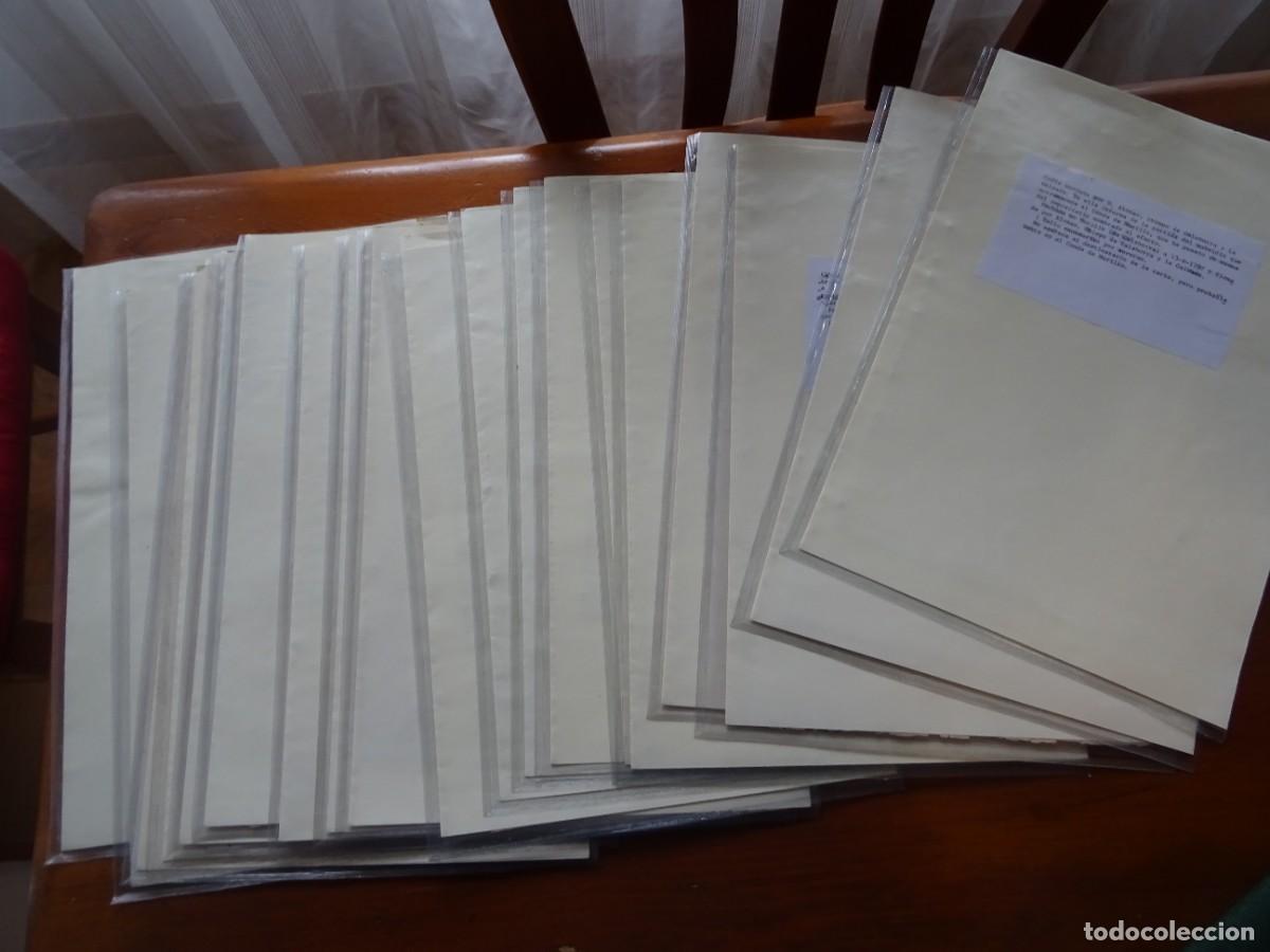 Manuscritos antiguos: Cartas manuscritas, 20, al Conde de Murillo