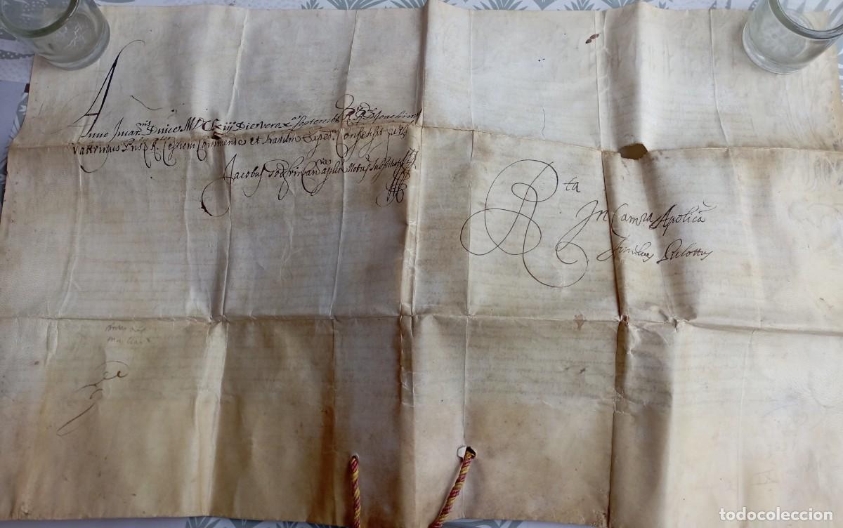 Manuscritos antiguos: Bula del Papa Alejandro VII. Siglo XVIII. - Foto 4