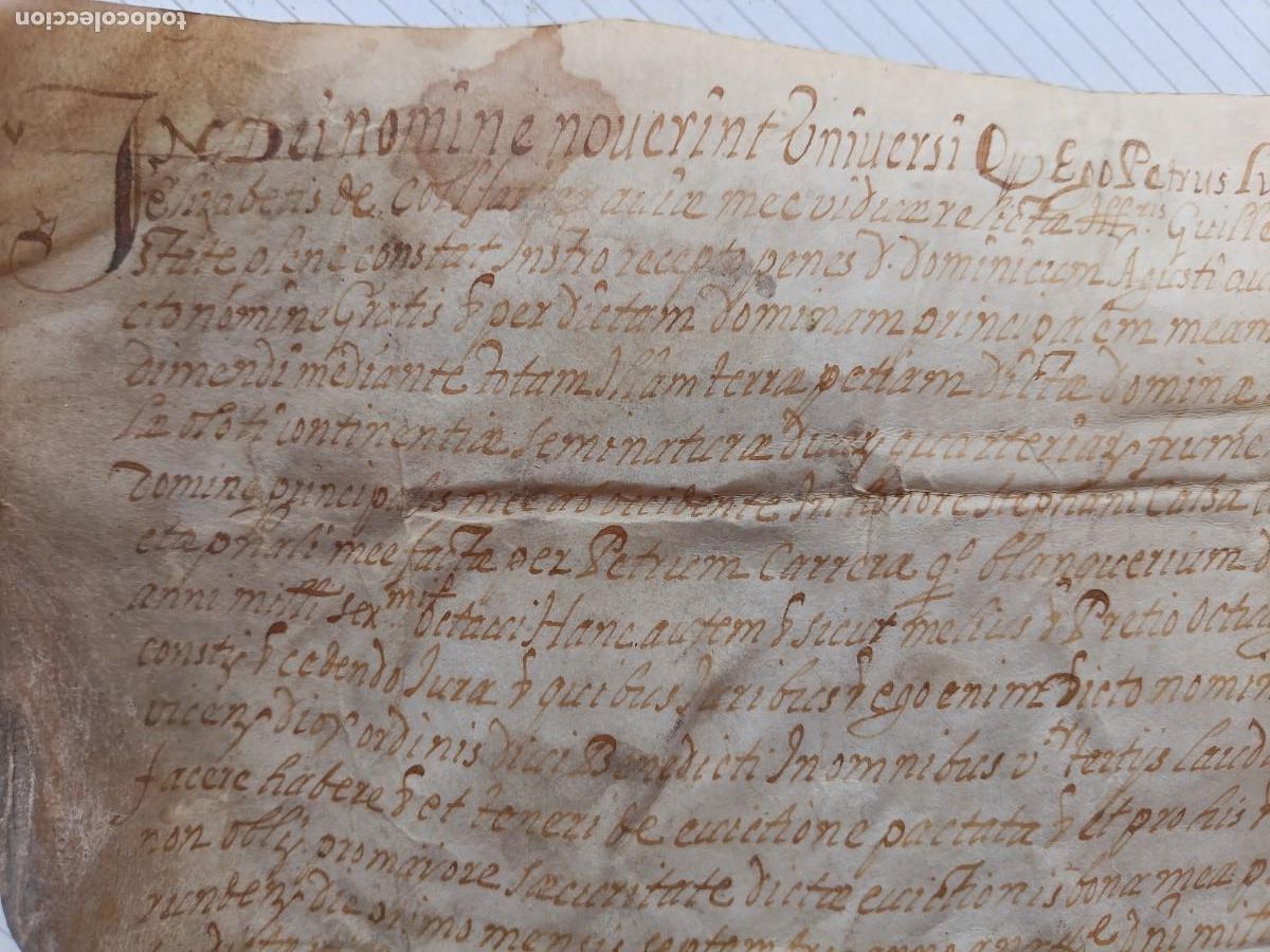 Manuscritos antiguos: Ciurana. Pergamino original del siglo XVI - Foto 3