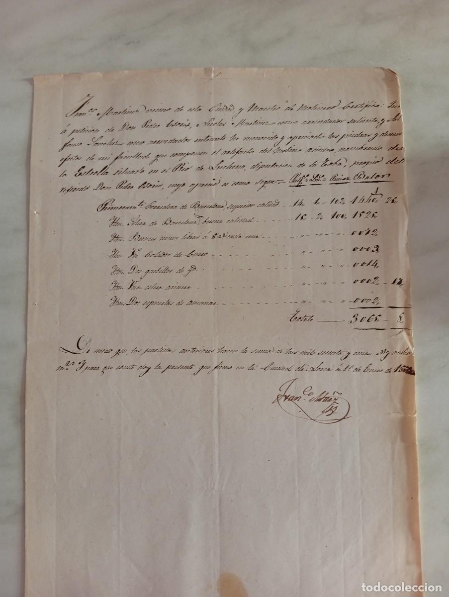 Manuscritos antiguos: CERTIFICADO DE RECONOCIMIENTO ESTADO PIEDRAS MOLINO LA ESTRELLA LORCA MURCIA. FAMILIA OSORIO. 1863