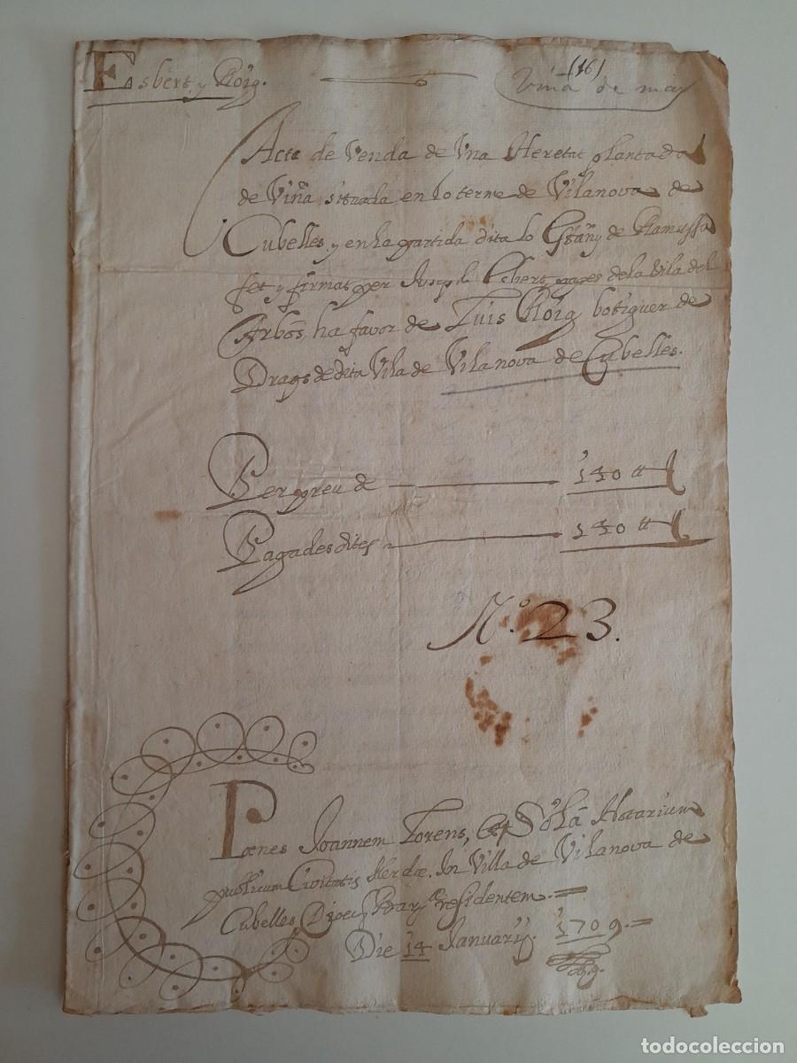 Manuscritos antiguos: MANUSCRITO ACTA DE VENTA DE UNA VI&Ntilde;A A FAVOR DE LUIS ROIG EN VILANOVA DE CUBELLS (14 ENERO 1709)