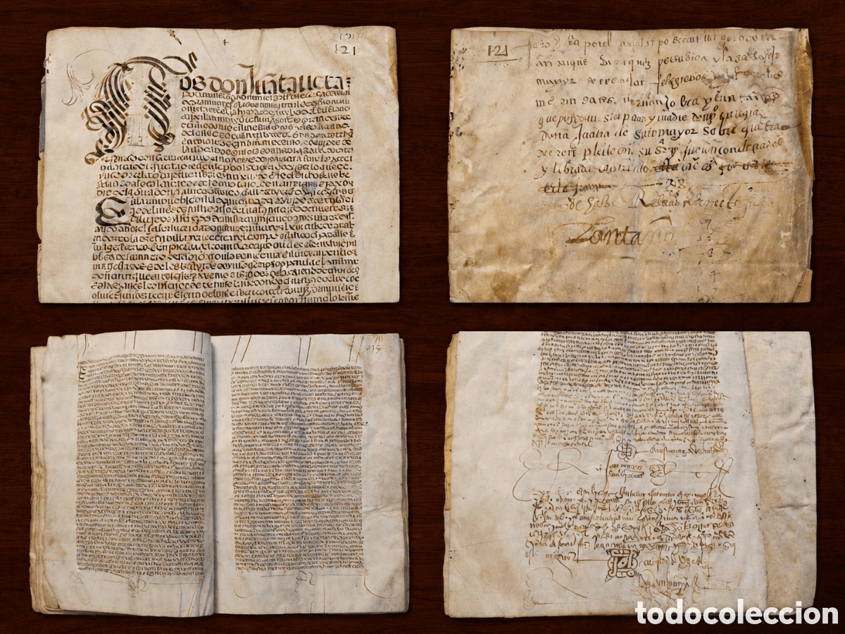 Manuscrits anciens: Pleito Tabera- Sotomayor (1532)