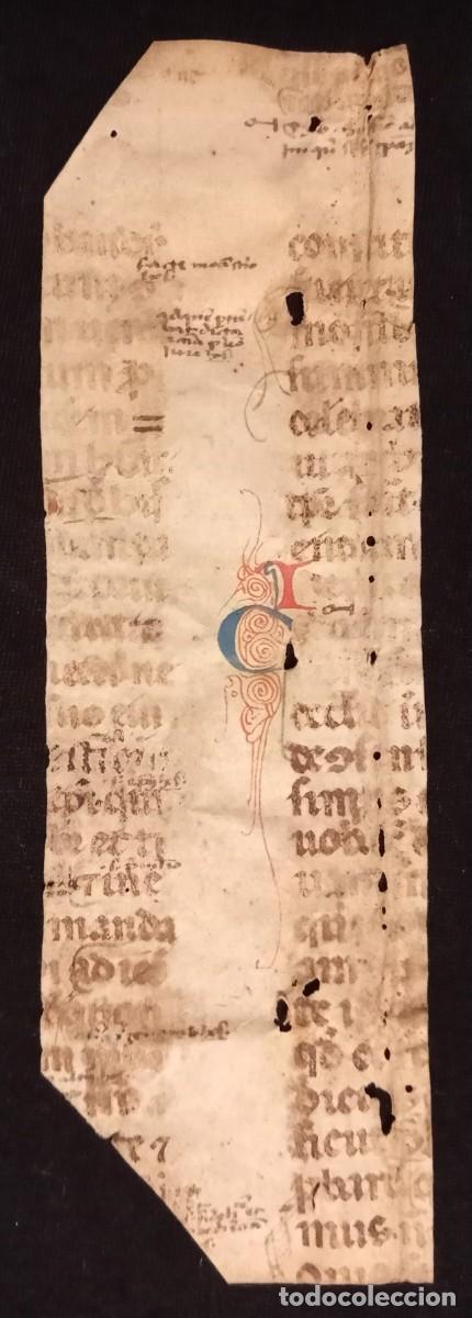 Manuscrits anciens: Fragmento de c&oacute;dice medieval. Capital miniada. Pergamino. Siglo XIV.