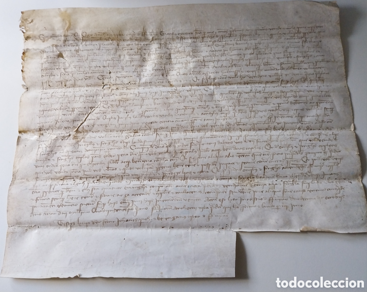 Manuscritos antiguos: Manuscrito en Pergamino de Castell de Feixa