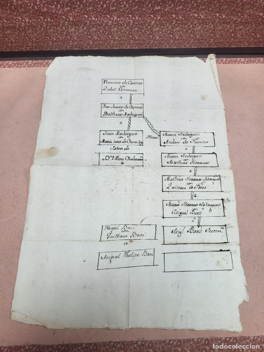 Manuscritos antiguos: ANTIGUO MANUSCRITO ARBOL GENEALOGICO APELLIDOS ORIGEN MURCIA