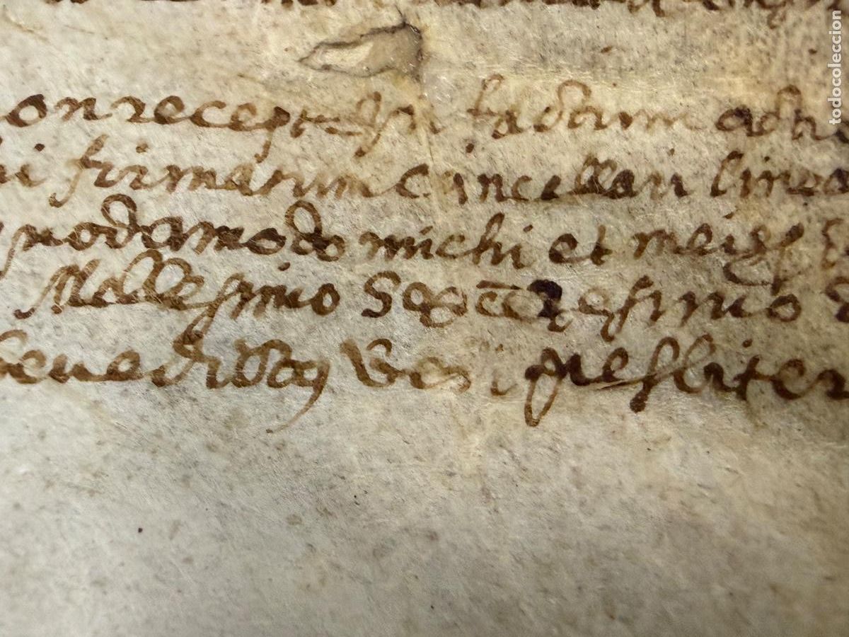 Manuscritos antiguos: Antiguo pergamino manuscrito, en piel. Mide unos 29x9cms. Ver fotos