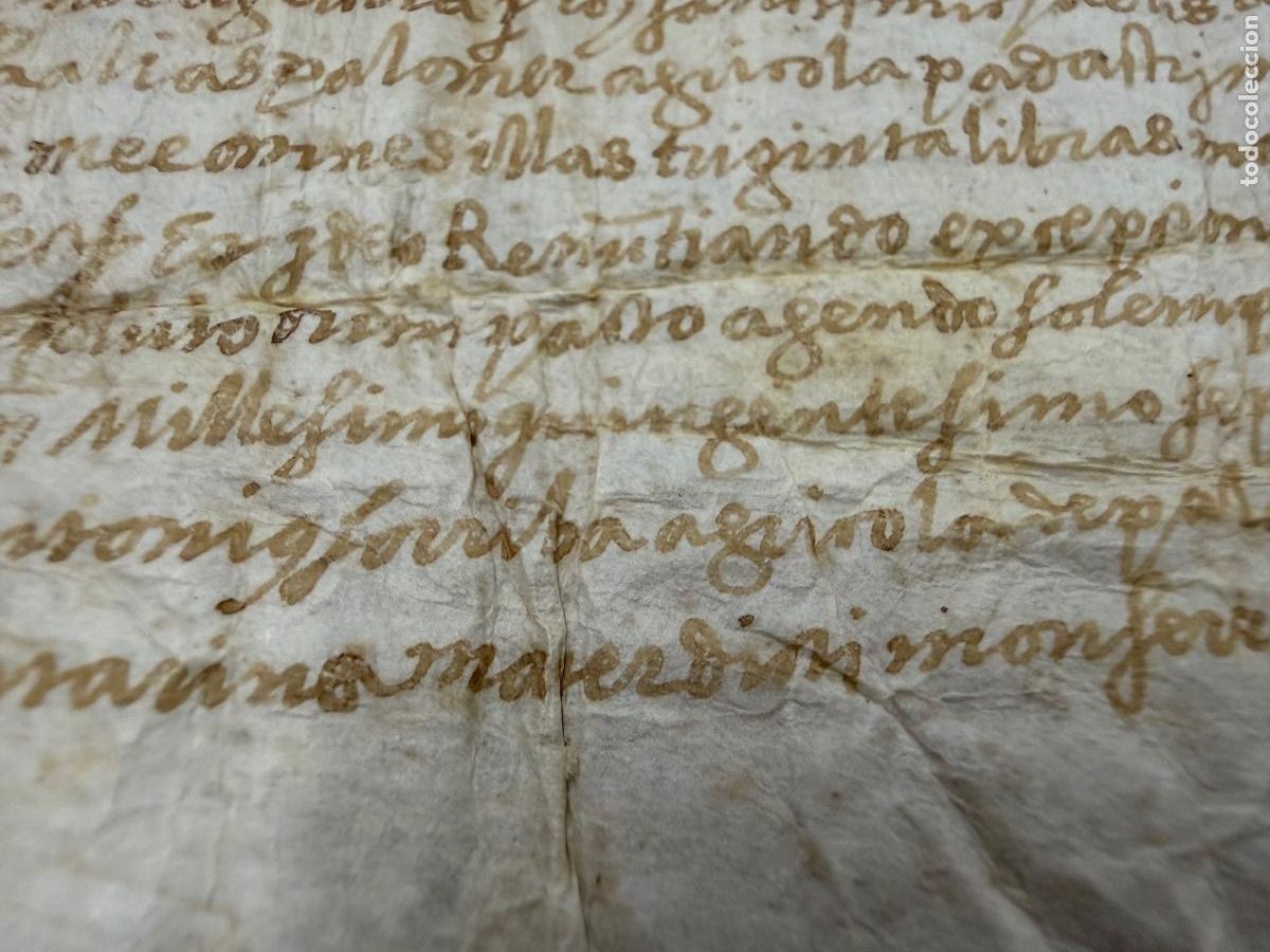 Alte Manuskripte: Antiguo pergamino manuscrito, en piel. Circa 1500. Mide unos 27x9cms. Ver fotos