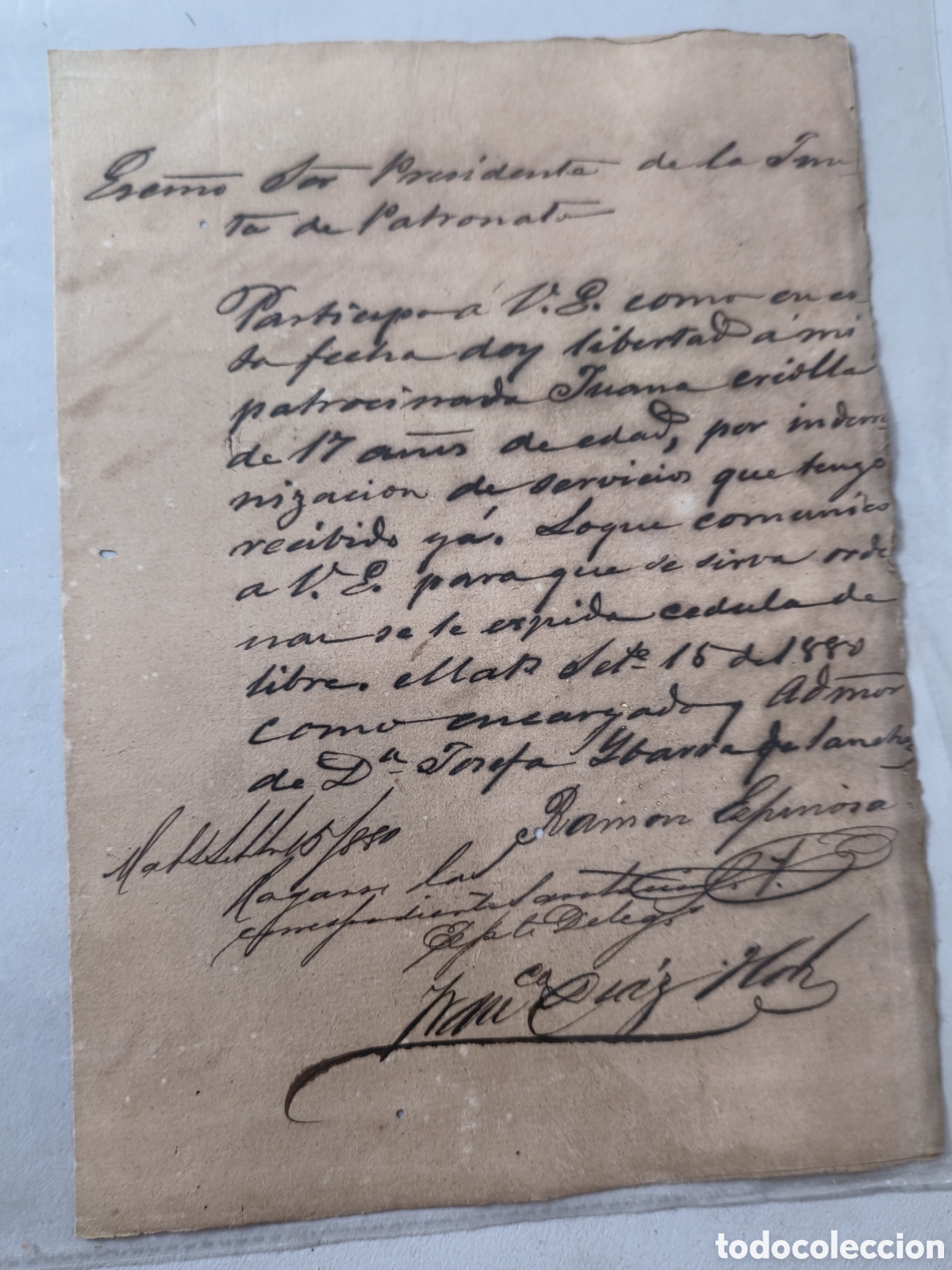 Manuscritos antiguos: Cuba espa&ntilde;ola, comunicaci&oacute;n a la junta de patronato de esclavos ,a&ntilde;o 1880