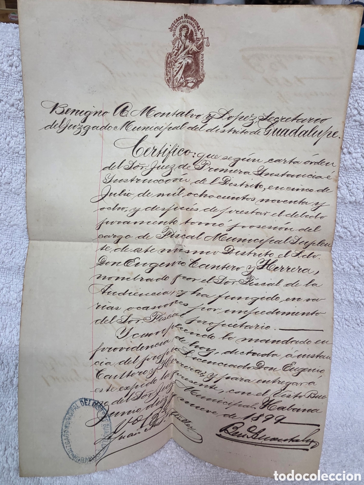 Manuscritos antiguos: CERTIFICADO MANUSCRITO DE NOMBRAMIENTO P&Uacute;BLICO 1899