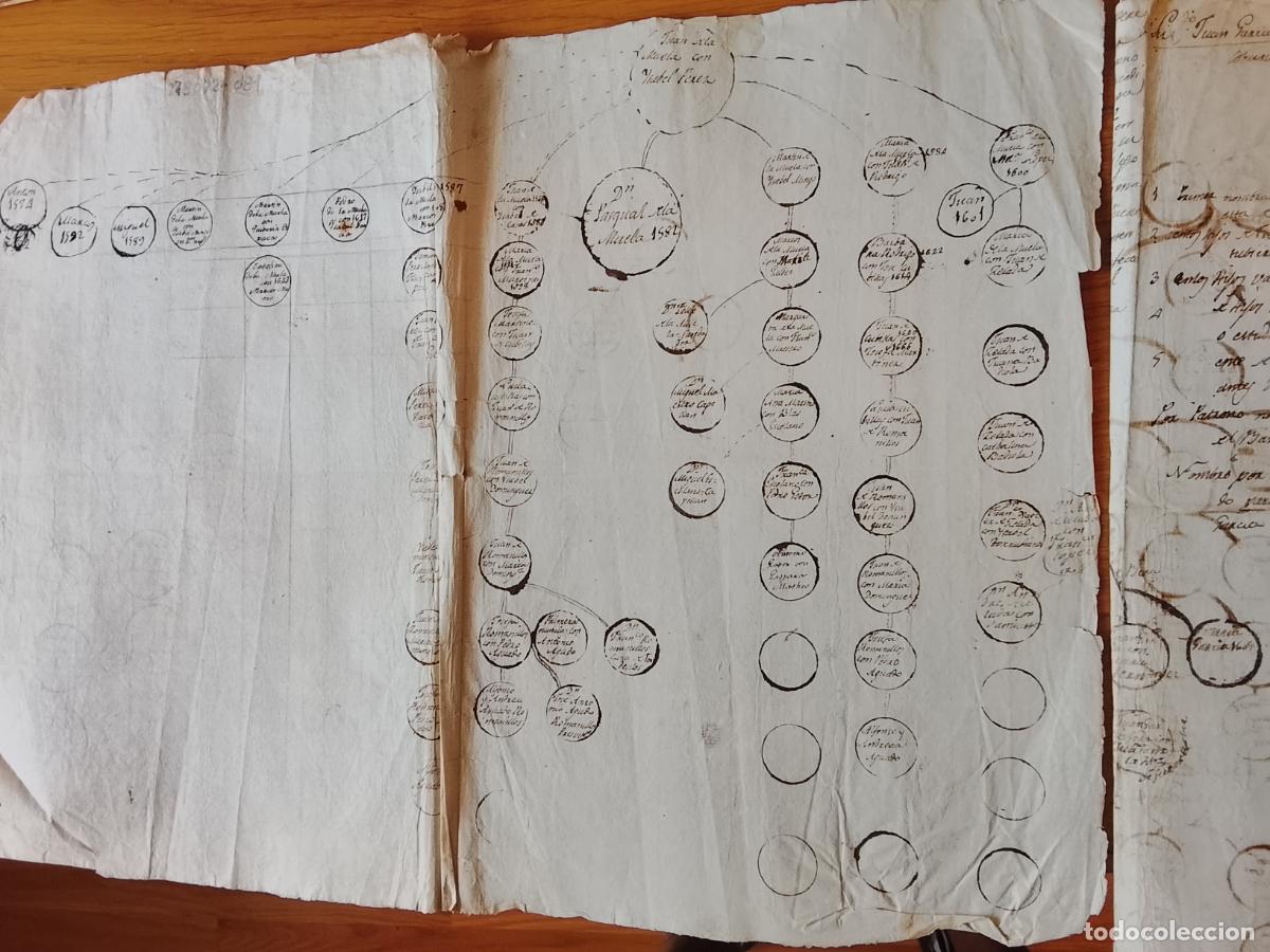 Manuscritos antiguos: Manuscrito con &aacute;rboles geneal&oacute;gicos. Milmarcos, Guadalajara siglos XVI-XVII