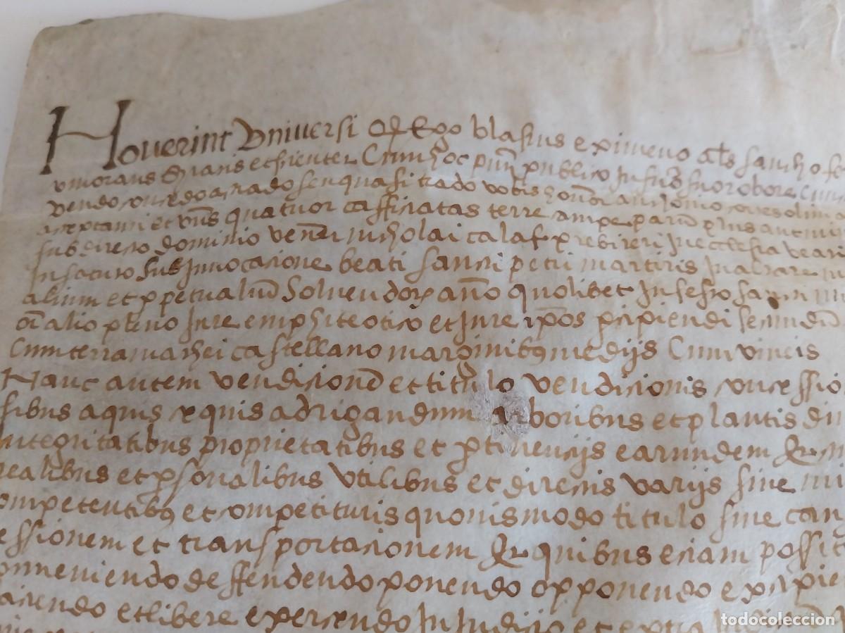 Ancient Manuscripts: Manuscrito en Pergamino Siglo XVI