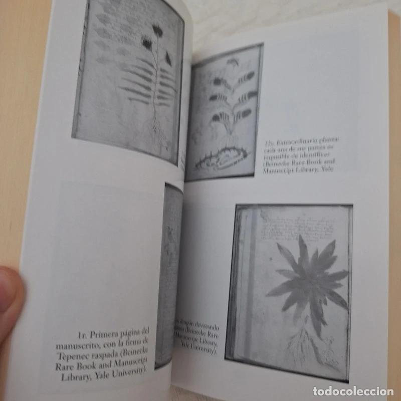 Manuscritos antiguos: EL MANUSCRITO VOYNICH - Foto 3