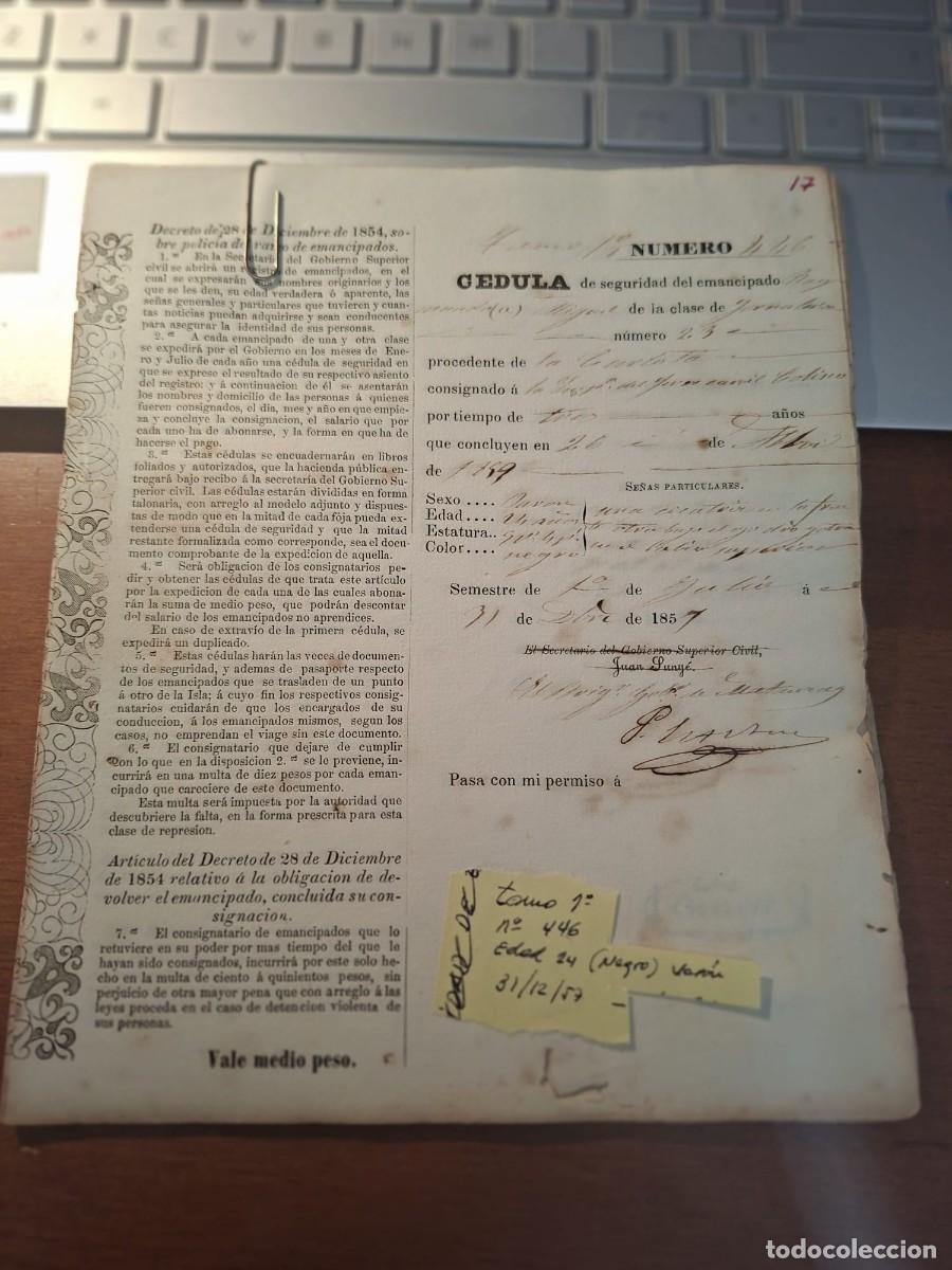 Manuscritos antiguos: CEDULA SEGURIDAD ESCLAVO