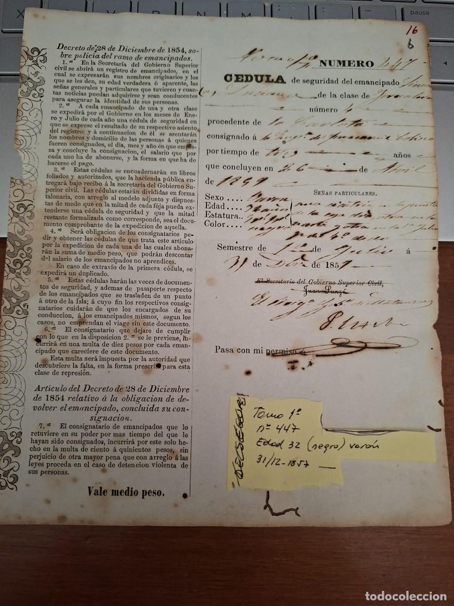 Manuscritos antiguos: CEDULA SEGURIDAD ESCLAVO