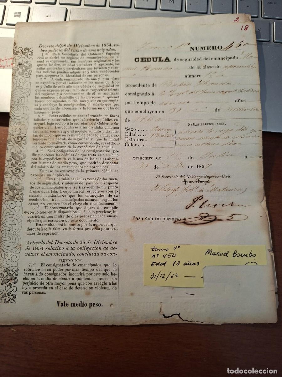 Manuscritos antiguos: CEDULA SEGURIDAD ESCLAVO