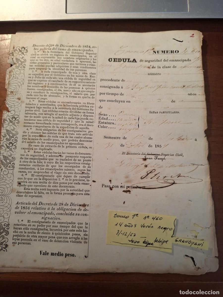 Manuscritos antiguos: CEDULA SEGURIDAD ESCLAVO