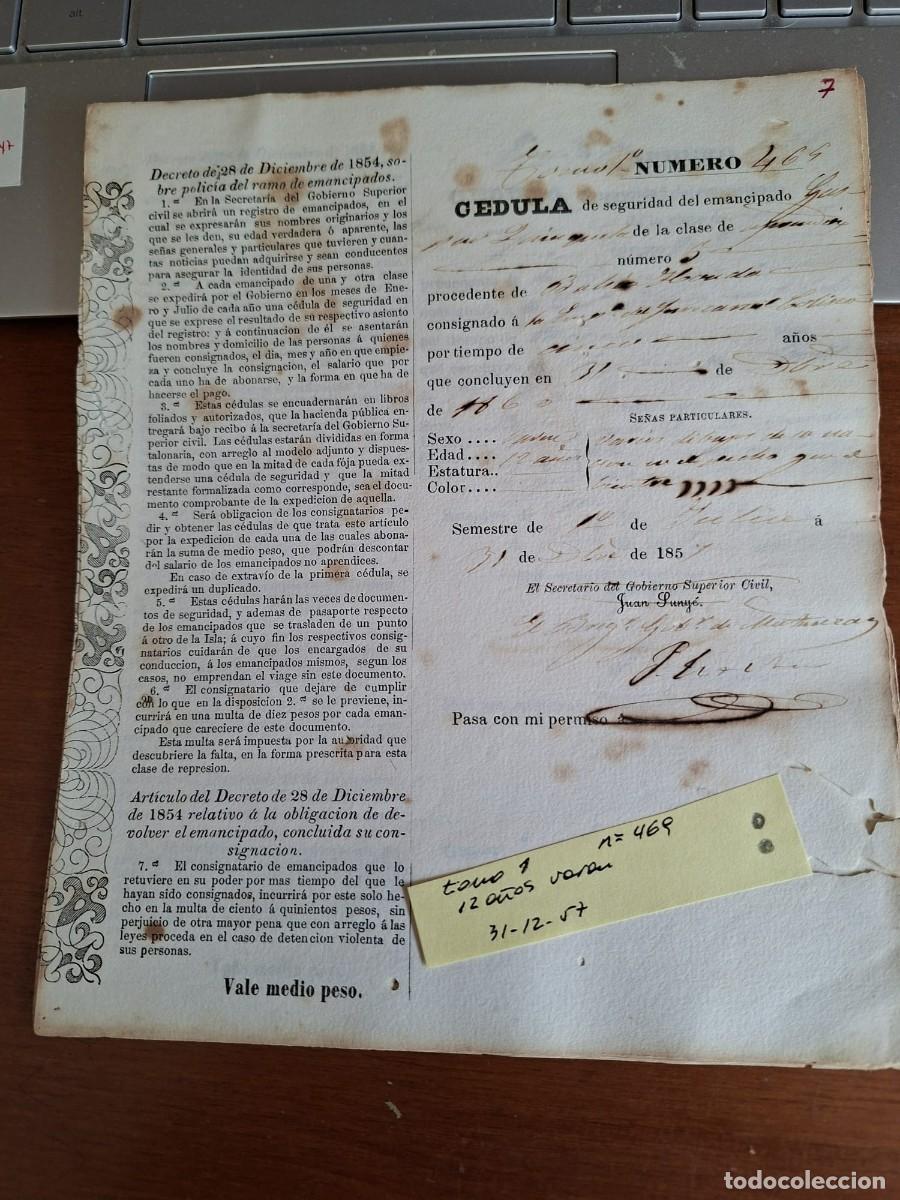 Manuscritos antiguos: CEDULA SEGURIDAD ESCLAVO