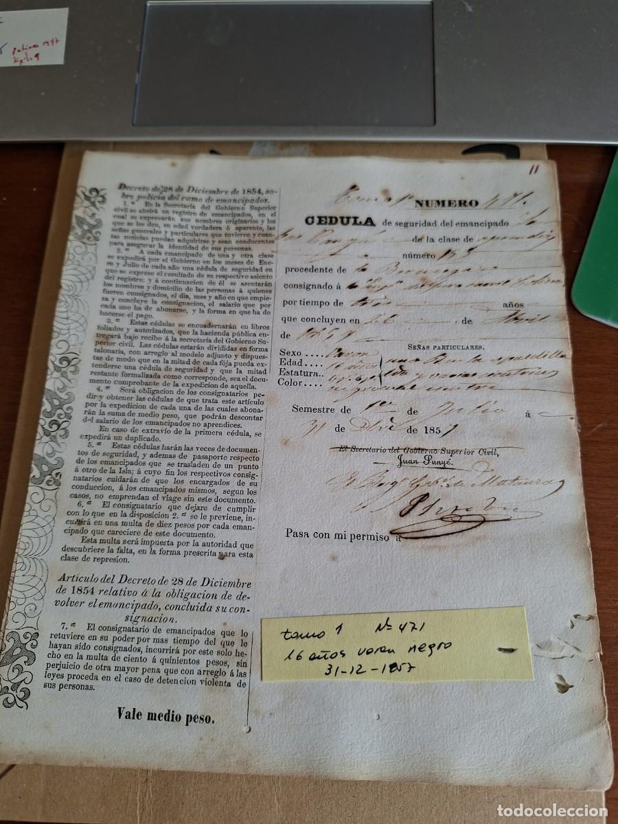 Manuscritos antiguos: CEDULA SEGURIDAD ESCLAVO