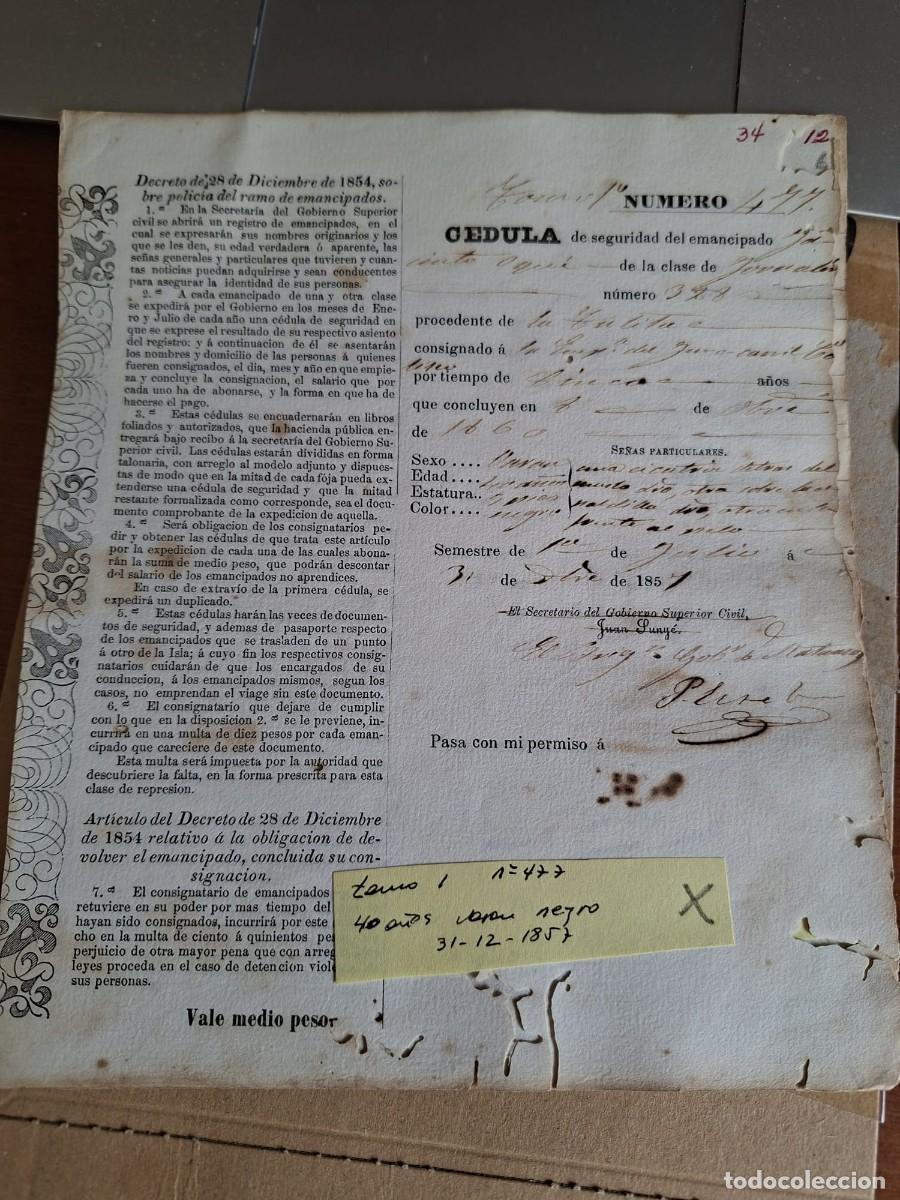 Manuscritos antiguos: CEDULA SEGURIDAD ESCLAVO