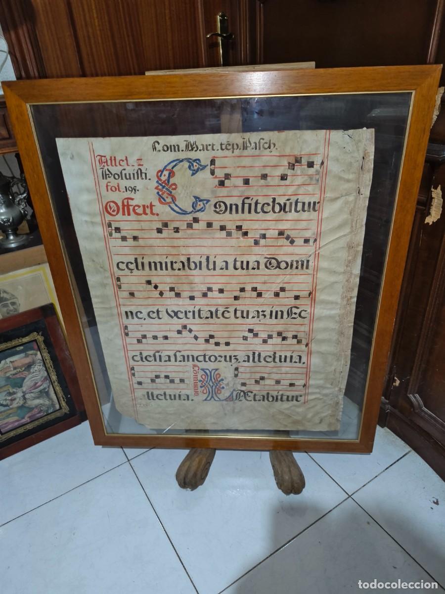 Manuscritos antiguos: Pergamino Gregoriano en Marco de Cristal a 2 Caras. 75x88 cm.