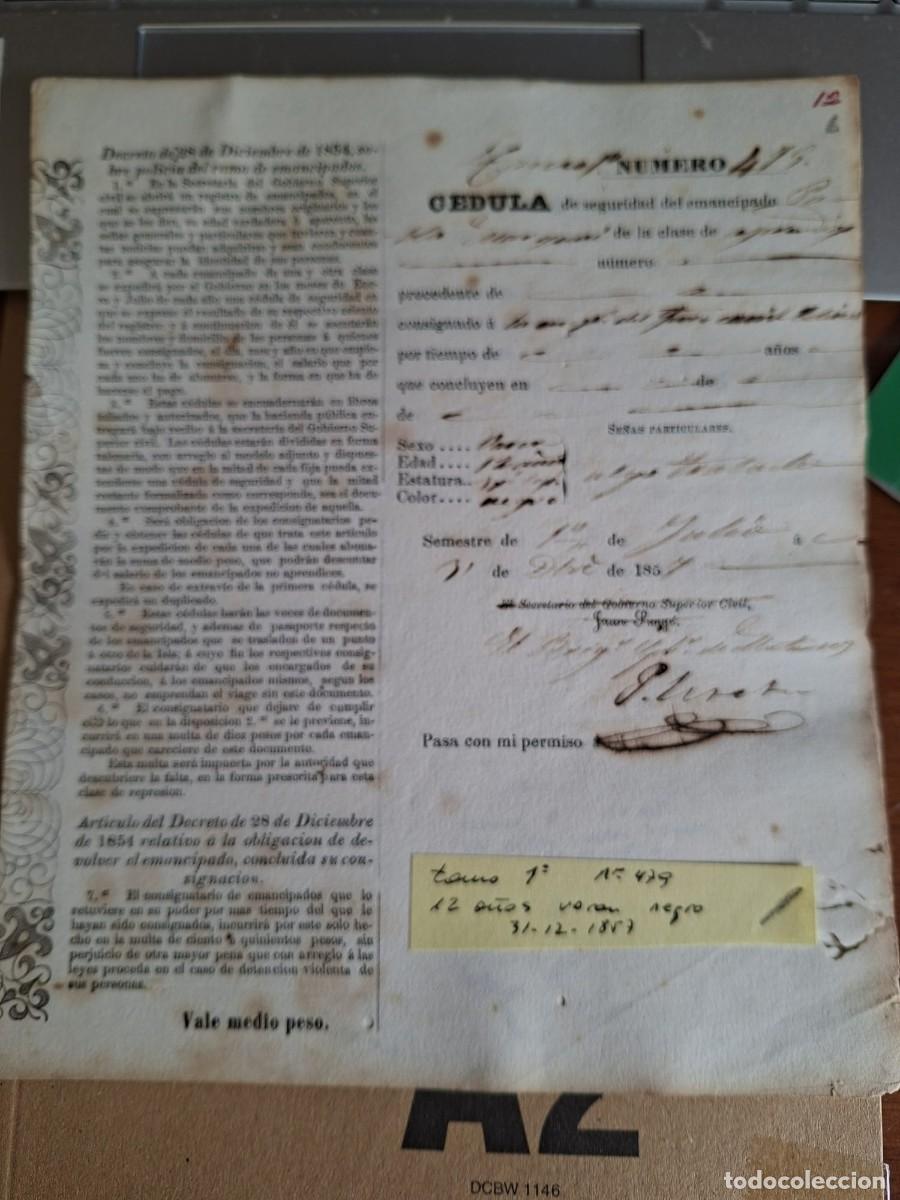 Manuscritos antiguos: CEDULA SEGURIDAD ESCLAVO